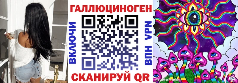 kraken как зайти  Усмань  Псилоцибиновые грибы прущие грибы 
